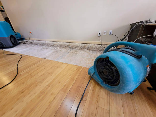 Professional Structural Drying technician working in Mount Carmel, PA